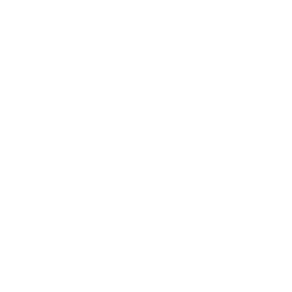 Major League Jai Alai